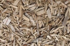 biomass boilers Cynwyd
